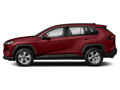 2019 Toyota RAV4 XLE Premium AWD (Natl)
