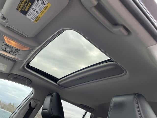 2019 Toyota RAV4 XLE Premium AWD (Natl)