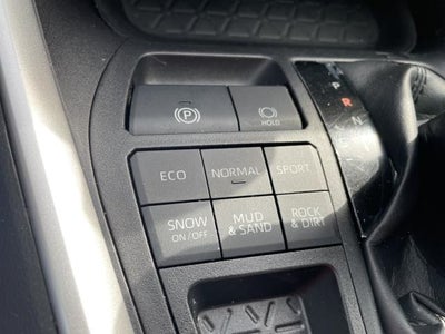 2019 Toyota RAV4 XLE Premium AWD (Natl)