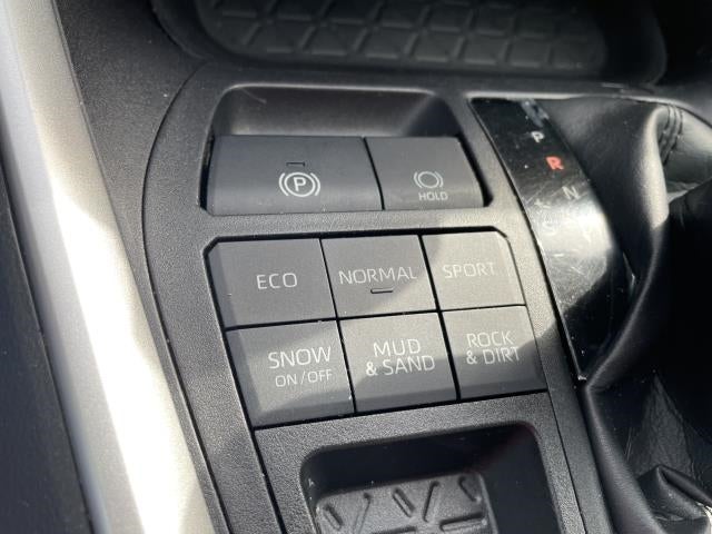 2019 Toyota RAV4 XLE Premium AWD (Natl)