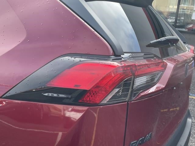 2019 Toyota RAV4 XLE Premium AWD (Natl)