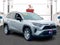 2019 Toyota RAV4 LE AWD (Natl)