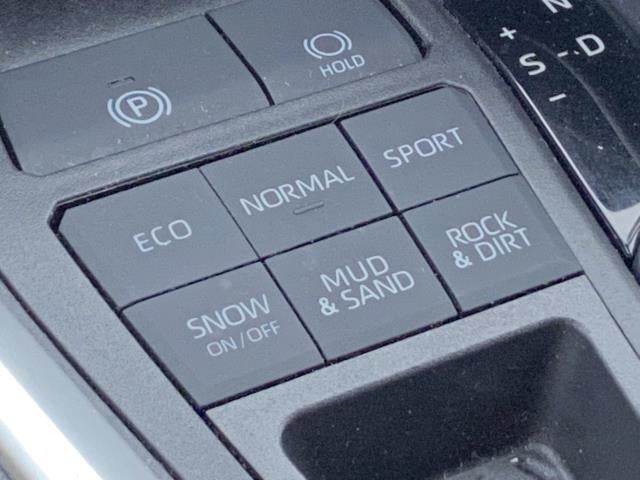 2019 Toyota RAV4 LE AWD (Natl)