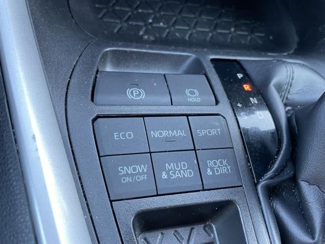 2019 Toyota RAV4 XLE AWD (Natl)