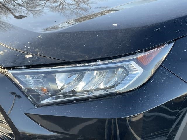 2019 Toyota RAV4 XLE AWD (Natl)