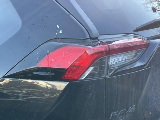 2019 Toyota RAV4 XLE AWD (Natl)