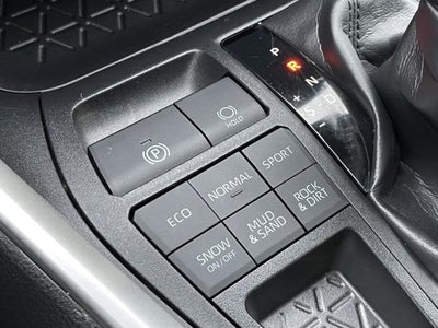 2019 Toyota RAV4 XLE AWD (Natl)