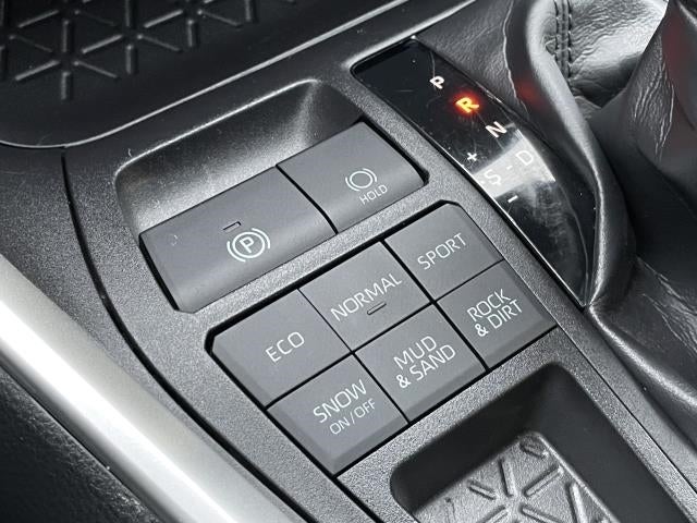 2019 Toyota RAV4 XLE AWD (Natl)