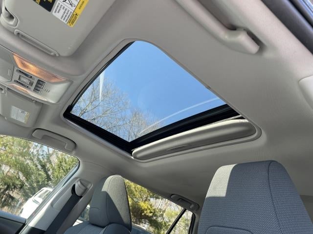 2019 Toyota RAV4 XLE AWD (Natl)