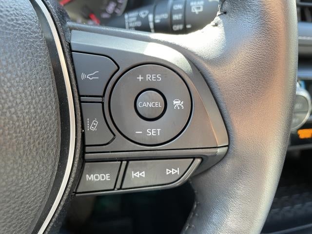 2019 Toyota RAV4 XLE AWD (Natl)