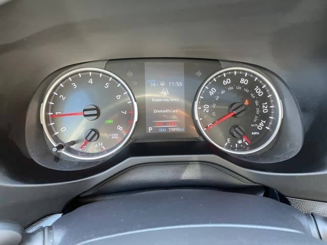 2019 Toyota RAV4 XLE AWD (Natl)