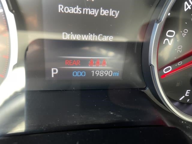 2019 Toyota RAV4 XLE AWD (Natl)