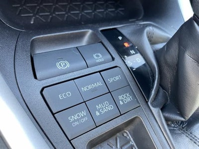 2019 Toyota RAV4 XLE AWD (Natl)