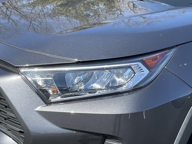 2019 Toyota RAV4 XLE AWD (Natl)