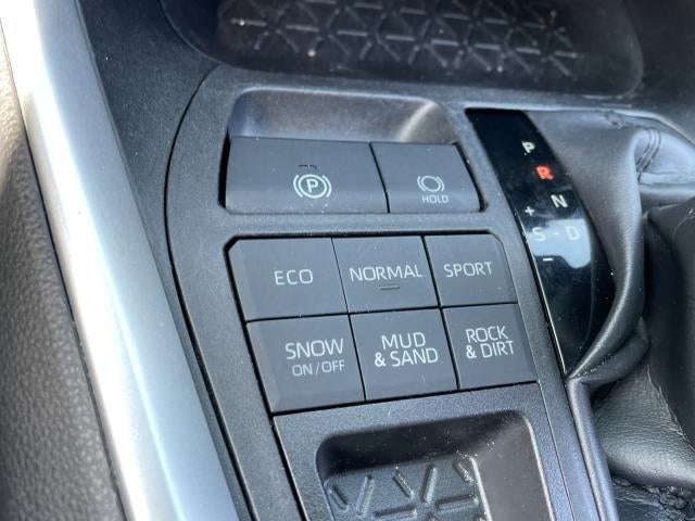 2019 Toyota RAV4 XLE AWD (Natl)