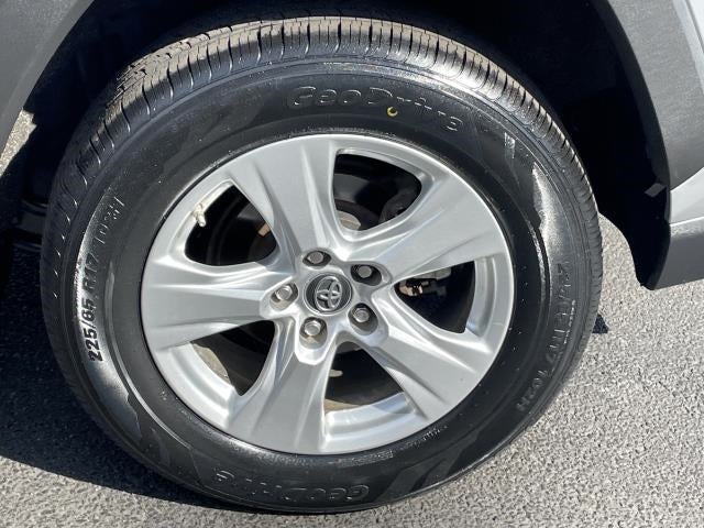 2019 Toyota RAV4 XLE AWD (Natl)