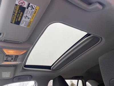 2019 Toyota RAV4 XLE AWD (Natl)