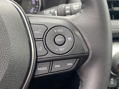 2019 Toyota RAV4 XLE AWD (Natl)