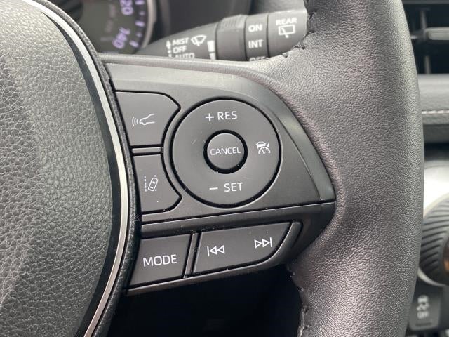 2019 Toyota RAV4 XLE AWD (Natl)