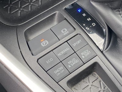 2019 Toyota RAV4 XLE AWD (Natl)