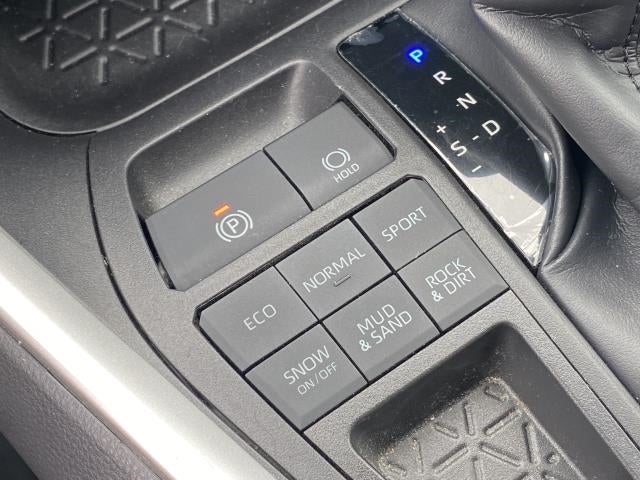 2019 Toyota RAV4 XLE AWD (Natl)