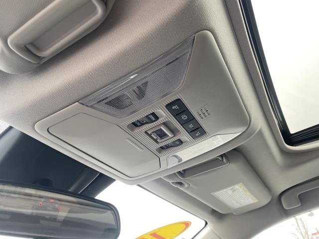 2019 Toyota RAV4 XLE AWD (Natl)