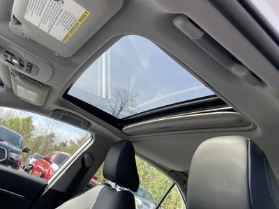 2019 Toyota Camry SE Auto (Natl)