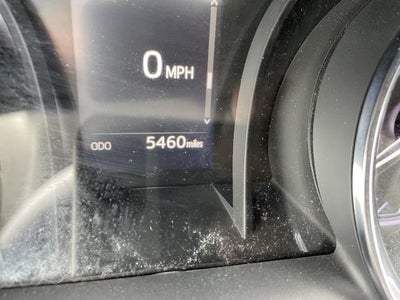 2019 Toyota Camry SE Auto (Natl)