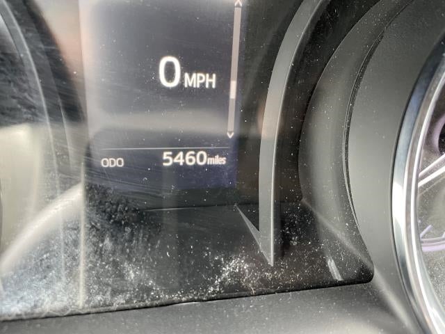 2019 Toyota Camry SE Auto (Natl)