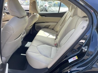 2019 Toyota Camry XLE Auto (Natl)