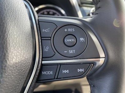 2019 Toyota Camry XLE Auto (Natl)