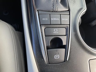 2019 Toyota Camry XLE Auto (Natl)