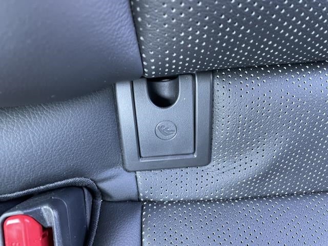 2019 Toyota Camry XSE Auto (Natl)