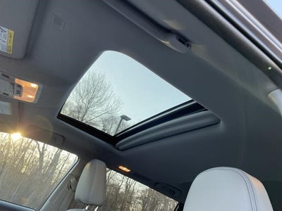 2019 Toyota Highlander XLE V6 AWD (Natl)