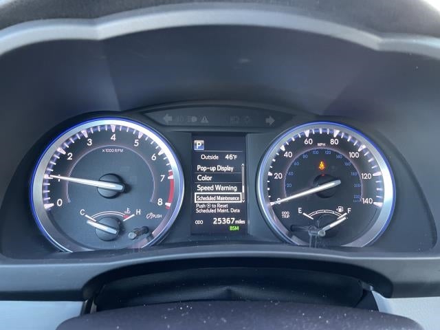 2019 Toyota Highlander XLE V6 AWD (Natl)
