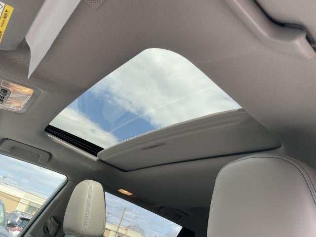 2019 Toyota Highlander XLE V6 AWD (Natl)