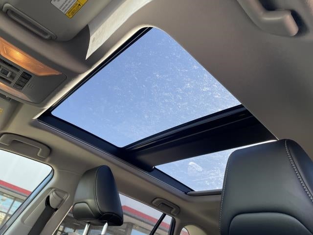 2019 Toyota RAV4 Limited AWD (Natl)