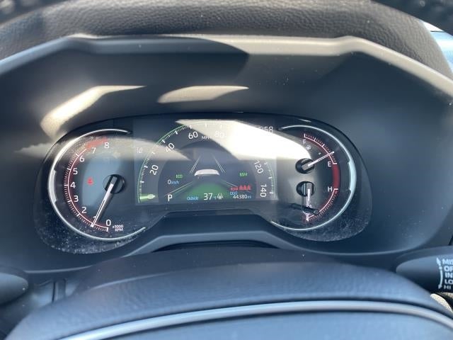 2019 Toyota RAV4 Limited AWD (Natl)