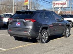 2019 Toyota RAV4 Limited AWD (Natl)