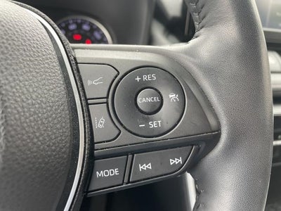 2019 Toyota RAV4 XLE AWD (Natl)