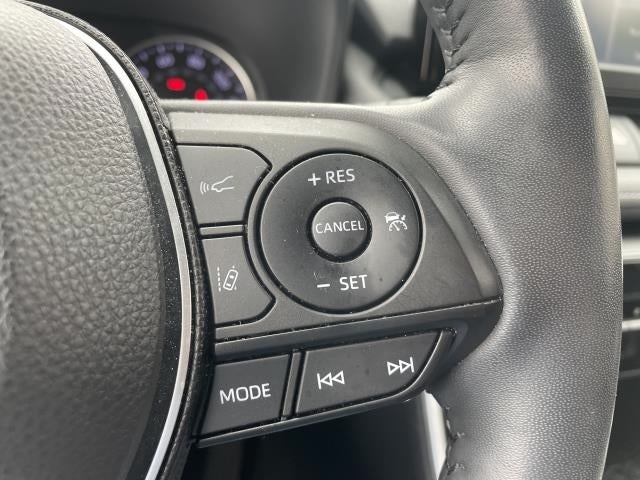 2019 Toyota RAV4 XLE AWD (Natl)