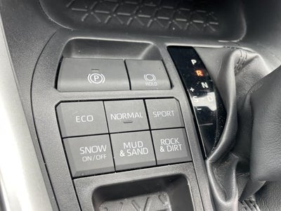 2019 Toyota RAV4 XLE AWD (Natl)