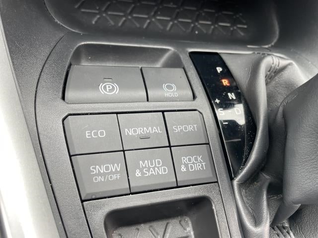 2019 Toyota RAV4 XLE AWD (Natl)