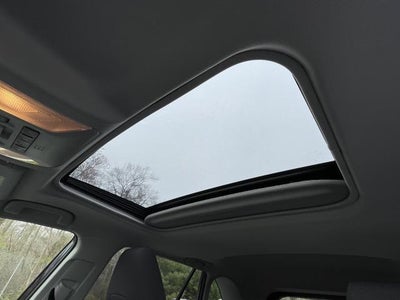 2019 Toyota RAV4 XLE AWD (Natl)