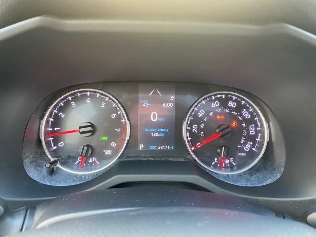 2019 Toyota RAV4 XLE AWD (Natl)