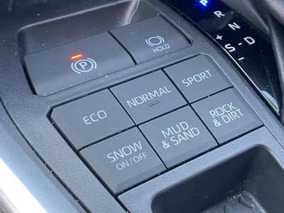 2019 Toyota RAV4 XLE AWD (Natl)