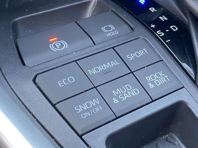 2019 Toyota RAV4 XLE AWD (Natl)