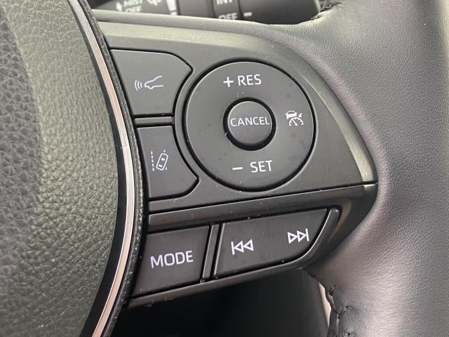 2019 Toyota RAV4 XLE AWD (Natl)