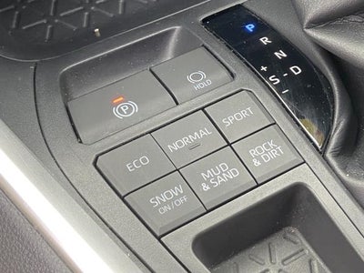 2019 Toyota RAV4 XLE AWD (Natl)