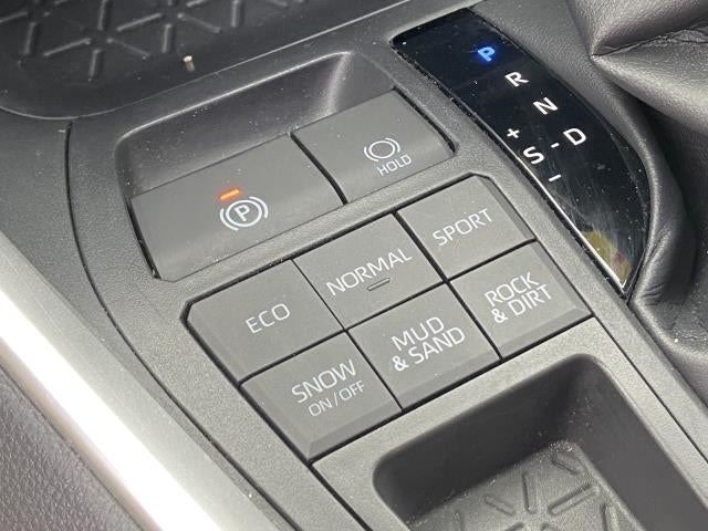 2019 Toyota RAV4 XLE AWD (Natl)